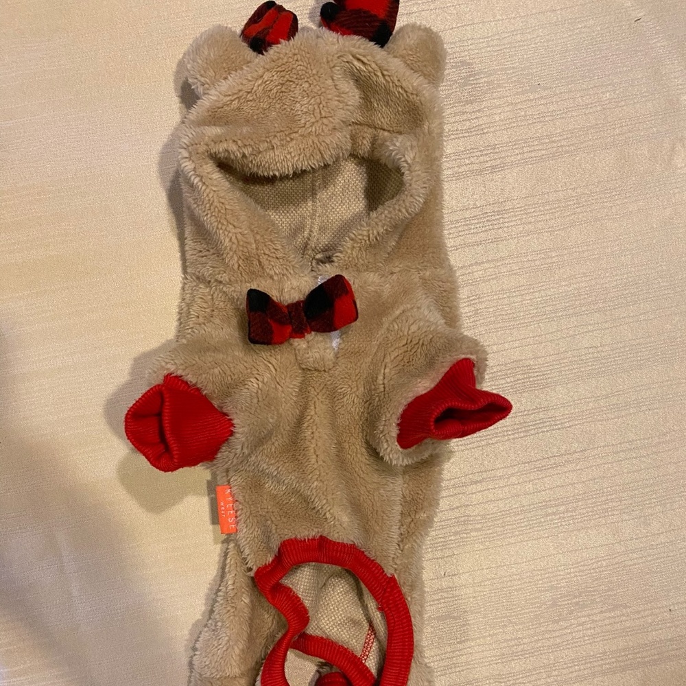 Toy breed reindeer outfit